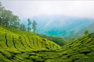 Best Summer Destinations In India