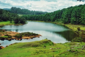 Best Summer Destinations In India