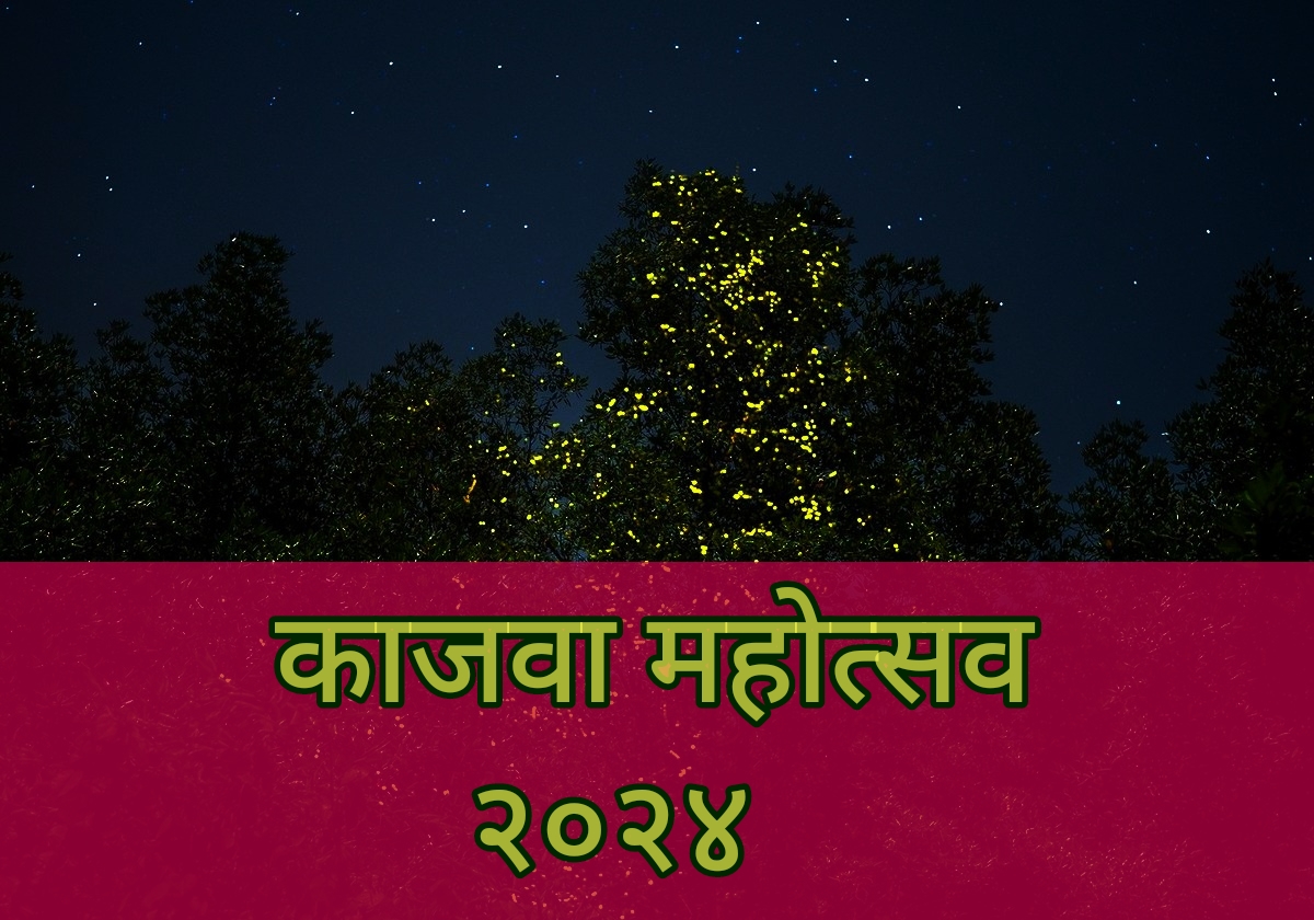 Fireflies Festival Kajava Mahotsav Maharashtra Marathi