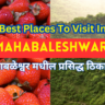 Best Places To Visit In Mahabaleshwar In Marathi