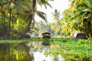 Kerala Tourist Places