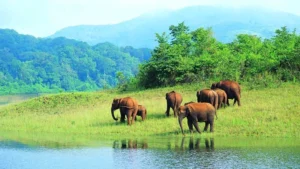 Kerala Tourist Places